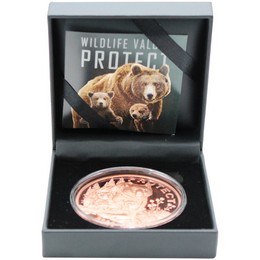 2026 100 Francs Cameroon Wildlife Value Series 5oz Copper High Relief Mother Grizzly Bear & Cubs Protect Coin OGP