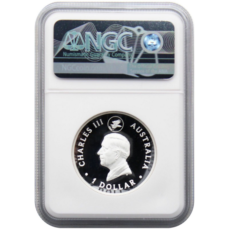 2024 P125 Australia 1oz Silver Gilded HR Proof WTE 10th Ann Coin