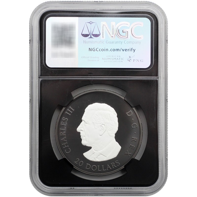 2025 $20 Proof Canada Rhodium Plated Silver Elegant Maple Leaf NGC