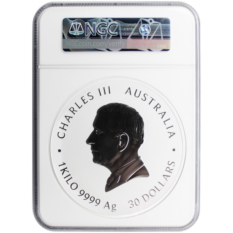 2025 P $30 Australia Lunar Series III Kilo Colorized Silver Year
