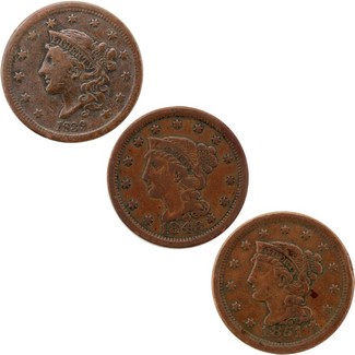The Coin Vault's U.S. Large Cent Bonanza
