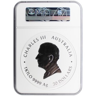 2025 P $30 Australia Lunar Series III Kilo Colorized Silver Year