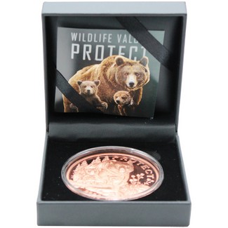 2026 100 Francs Cameroon Wildlife Value Series 5oz Copper High Relief Mother Grizzly Bear & Cubs Protect Coin OGP