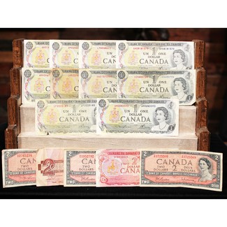 3-2-2026 Deal of the Day!